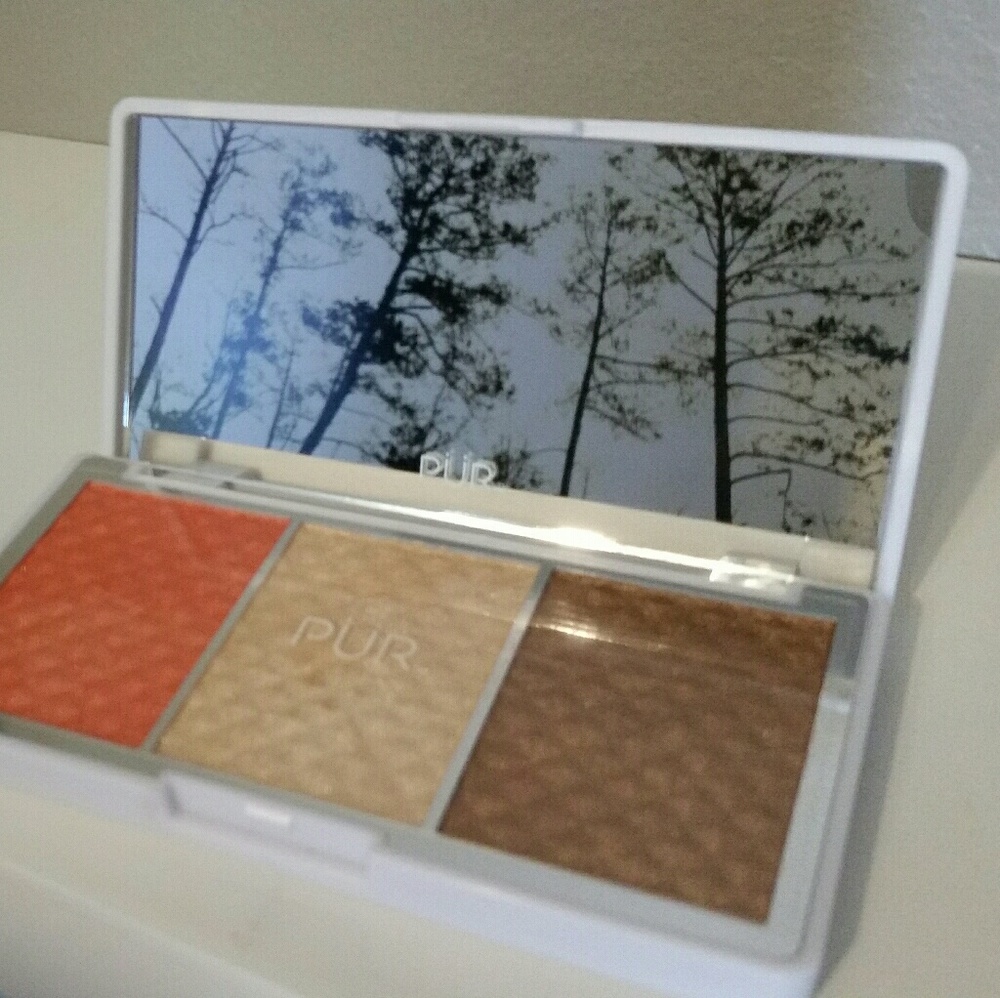 PUR Cosmetics Dreamer Bronze & Brighten cheek